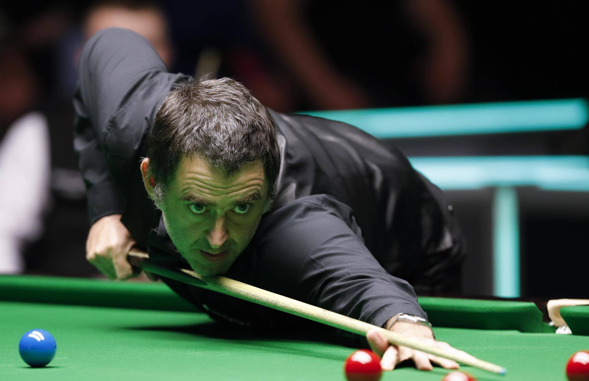 这将有助于 这将有助于