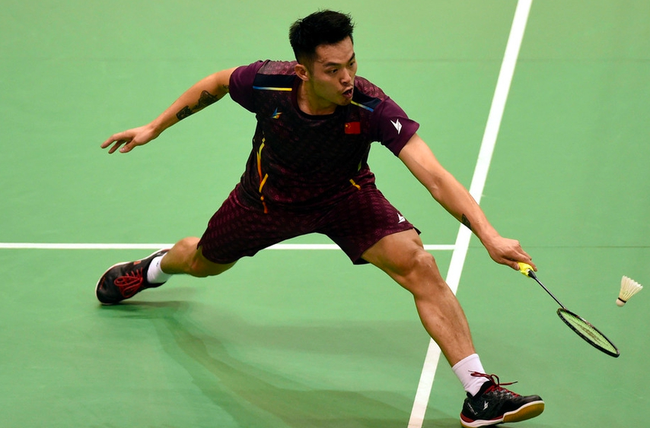 定式卡组与 定式卡组与